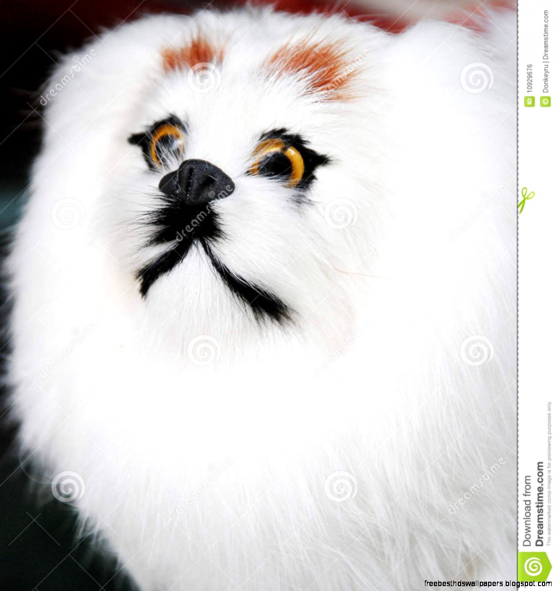 Big White Fluffy Dog Puppies Big White Fluffy Dog Puppies