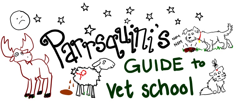 Parrsquini's Guide to Vet School