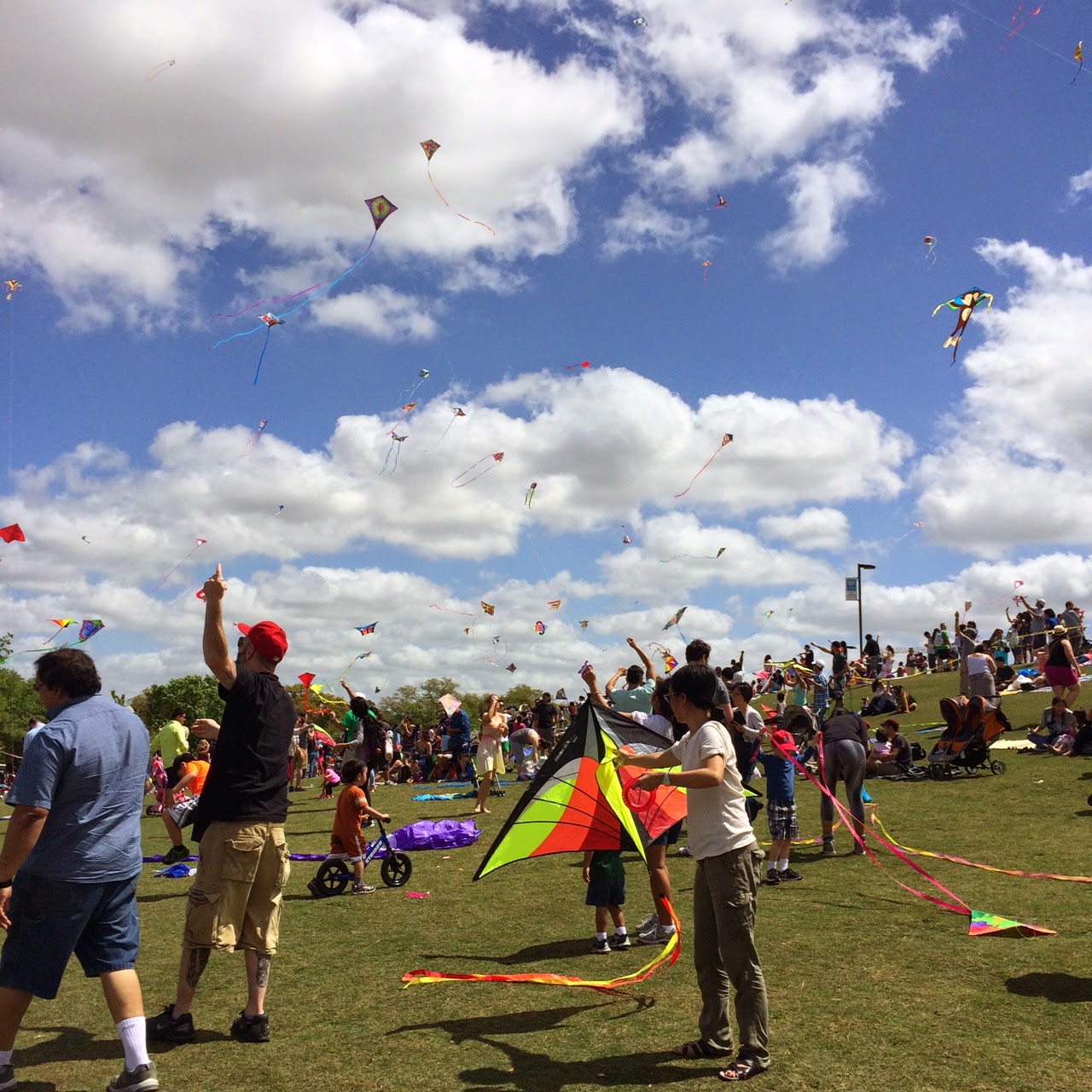 The Bayou Botanist Kite Festival in Hermann Park