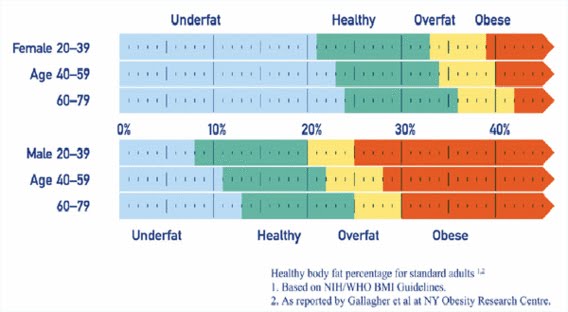 Healthy Visceral Fat Levels Chart