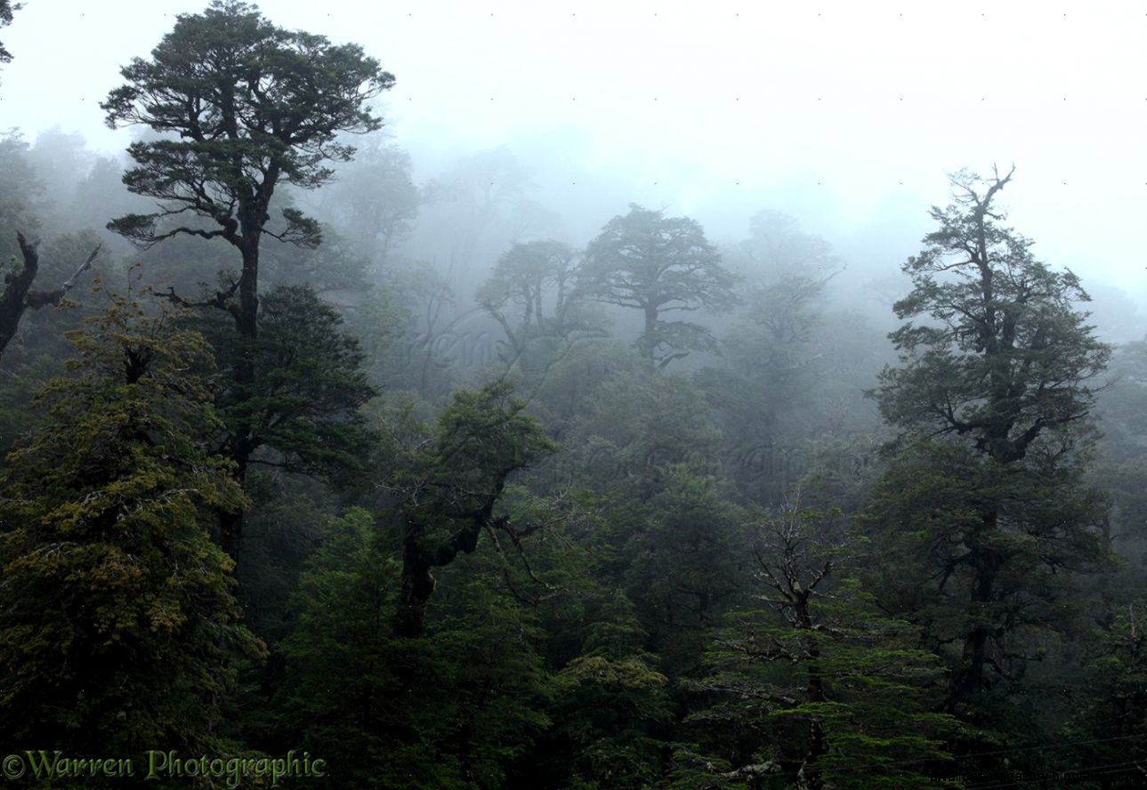 Sky Weather Rain lightning rainbows Sky Weather Rain lightning rainbows