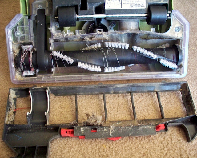 How to Clean a Hoover Wind Tunnel Vacuum By Hilary Jordan