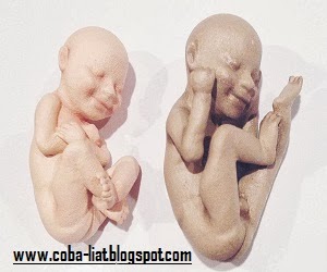 Patung bayi janin Patung bayi janin