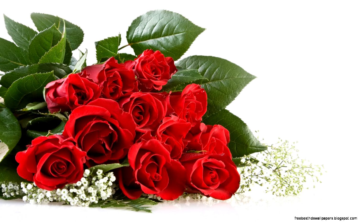 roses flower wallpaper roses flower wallpaper