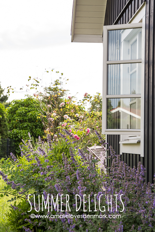 Amalie loves Denmark Rosenfreuden und Blütenfülle Amalie loves Denmark Rosenfreuden und Blütenfülle