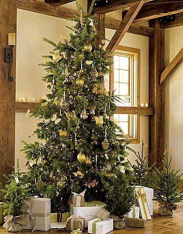 Christmas Decoration Ideas: Theme Colors (Part 2)