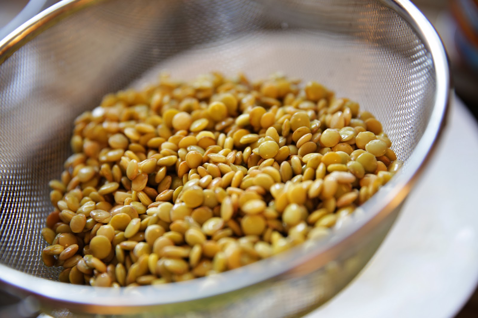 the farmgirl diaries Sprouting Lentils for your Chickens