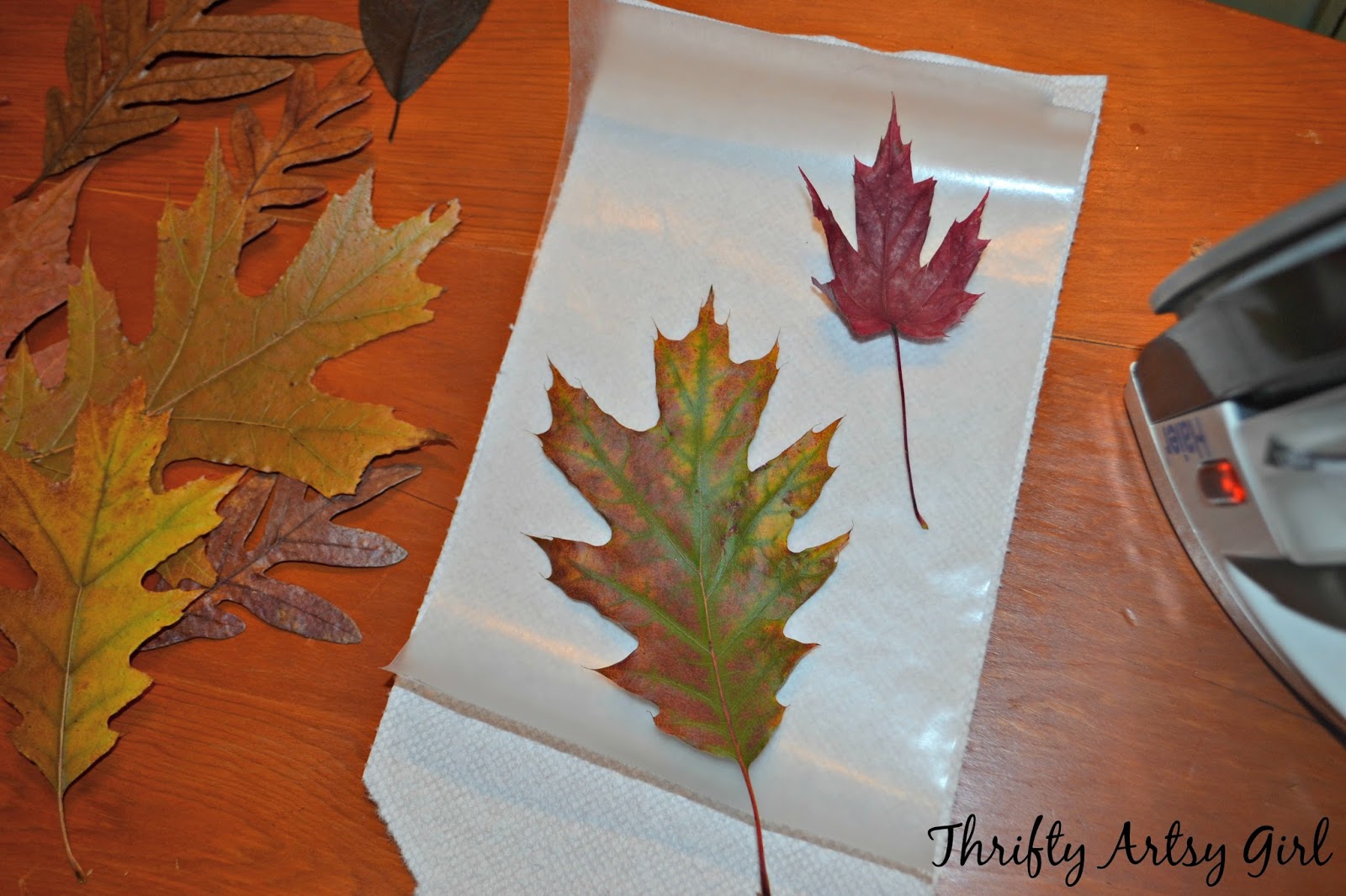 Thrifty Artsy Girl How to Easily Preserve Fall Leaves with Wax Paper