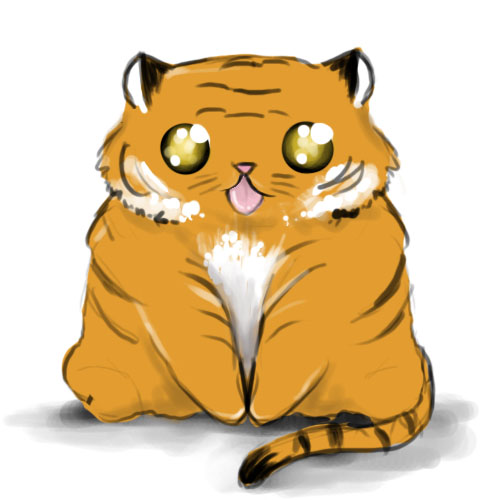 fat tiger cat