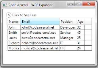 Expanded WPF Expander with style and DataGrid inside of it