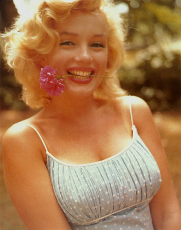 Pretty Marilyn Monroe