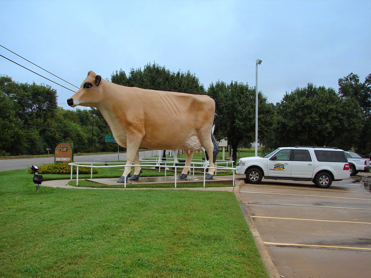 Expeditions by Tricia A "DAIRY AIR" EXPEDITION!