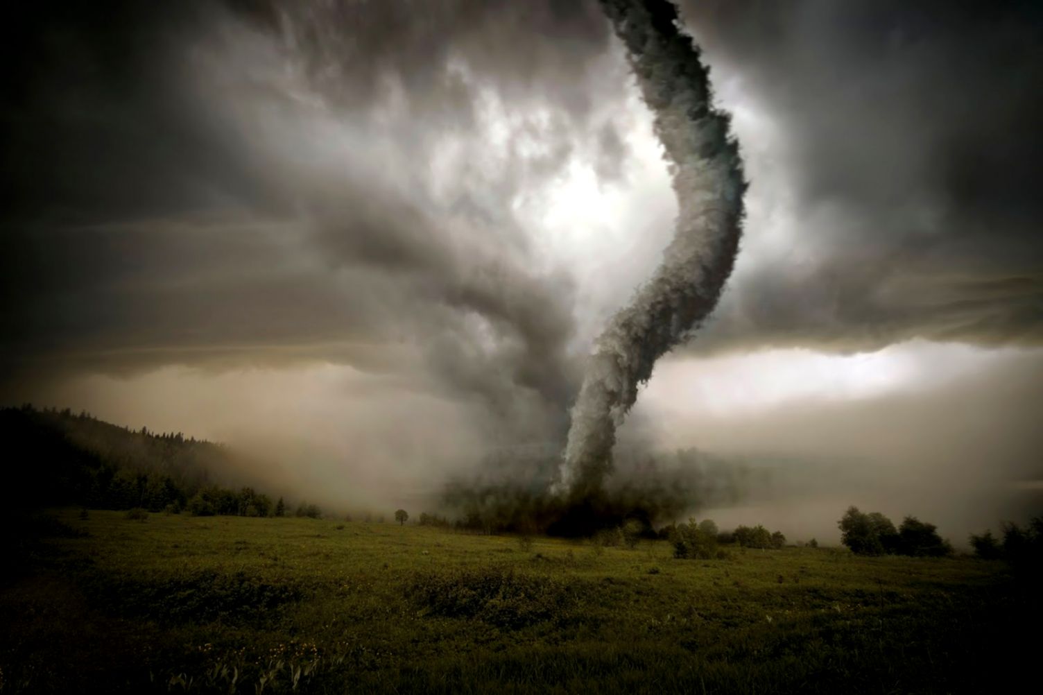 Save The Wine Avoiding Natural Disasters In The Fast Horse Save The Wine Avoiding Natural Disasters In The Fast Horse