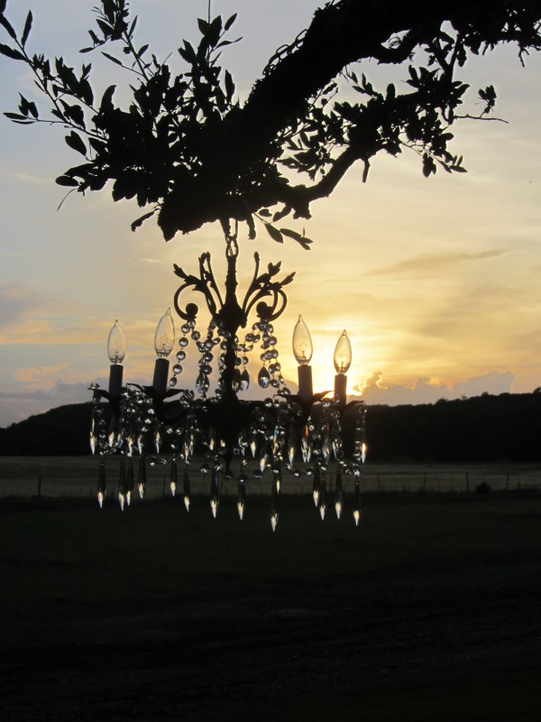 Revive Vintage Rentals Bella Springs Open House