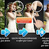 Cut Paste Photos APK indir