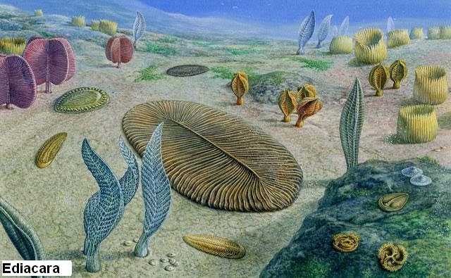 Resultado de imagen de Despues de miles de millones de años surgieron las primeras formas de vida