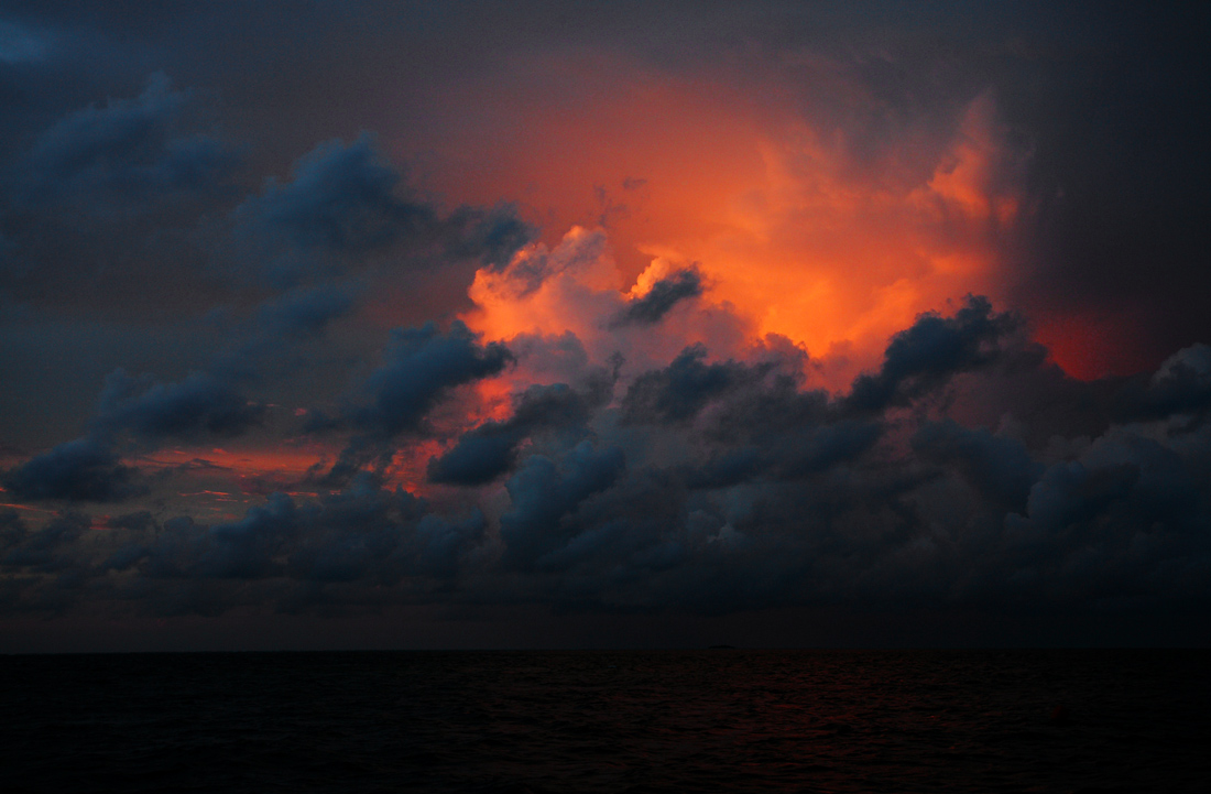 eternelle rencontre le berceau des elfes