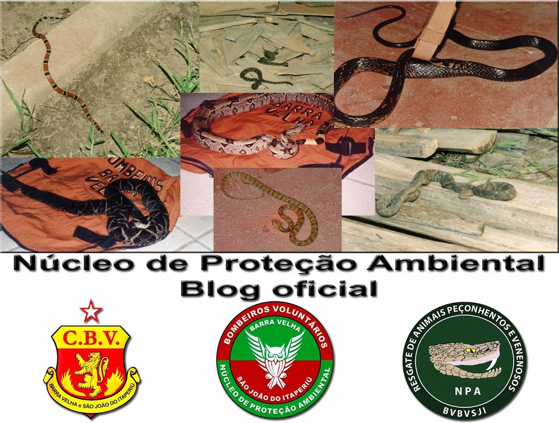 Núcleo de Proteção Ambiental (NPA)