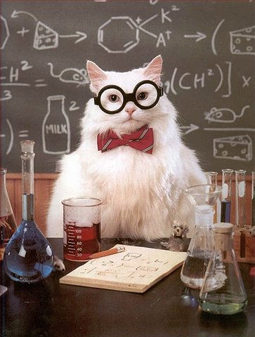 professor-cat.jpg