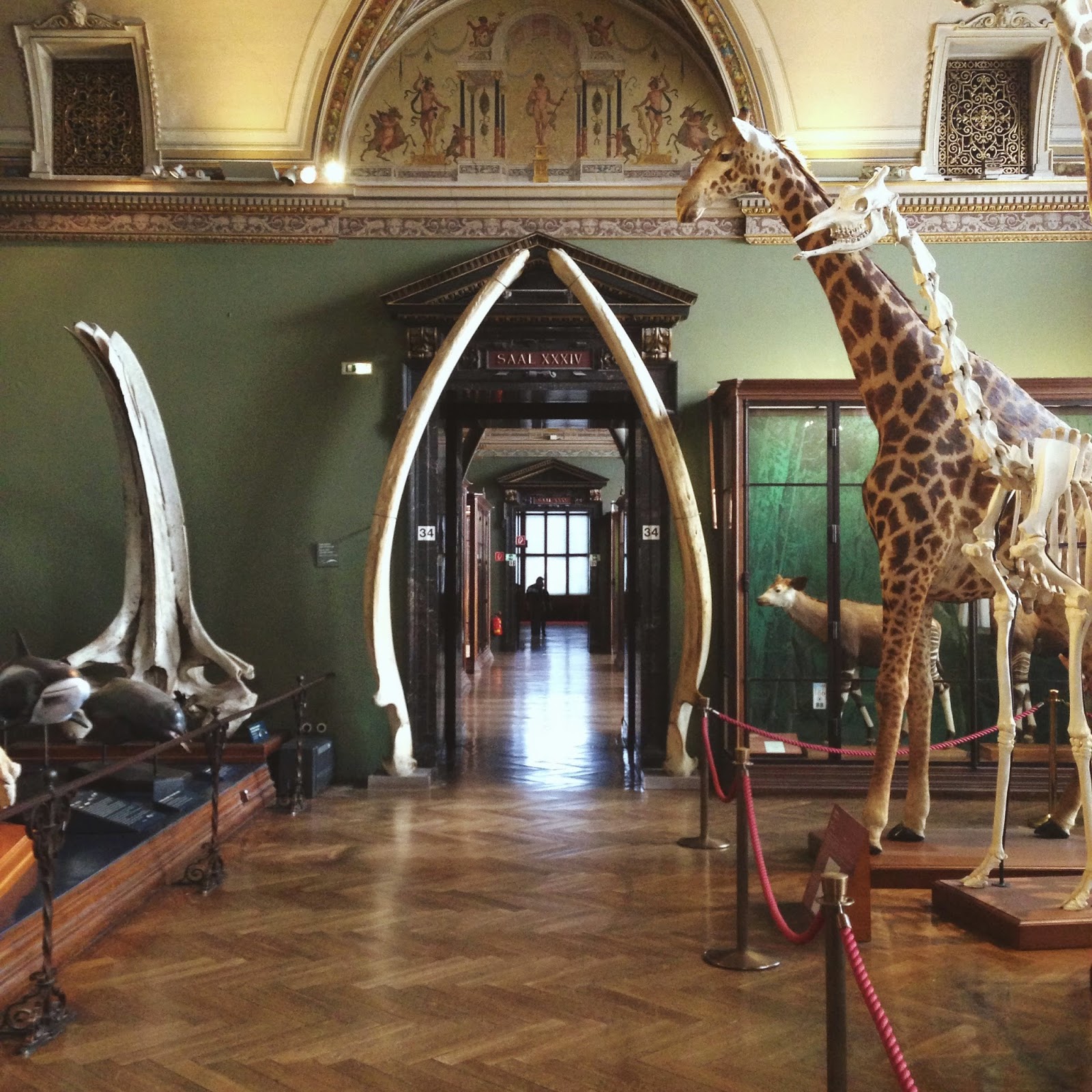 Wien Kunsthistorisches Museum Mit Kindern Chamy Travels