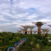 Fotograficznie: Gardens by the Bay, Singapur