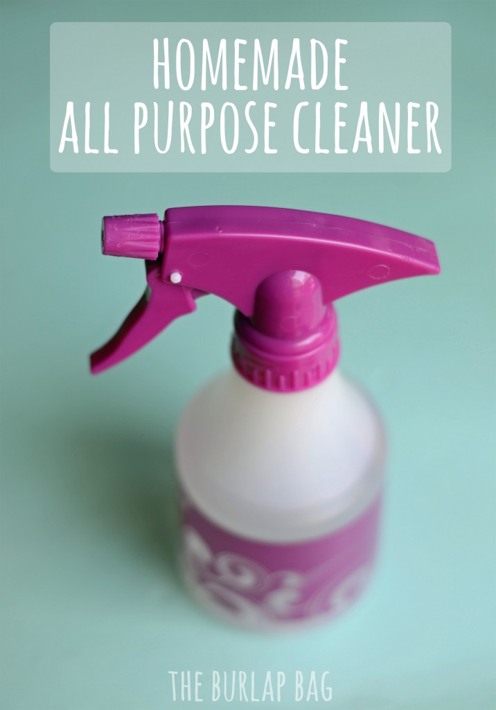 PiTop Homemade all purpose cleaner
