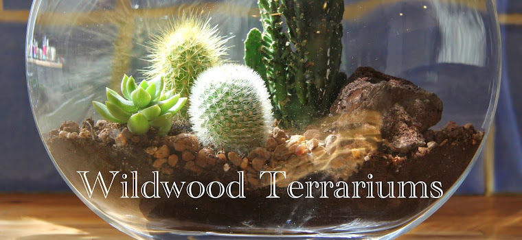 Wildwood Terrariums