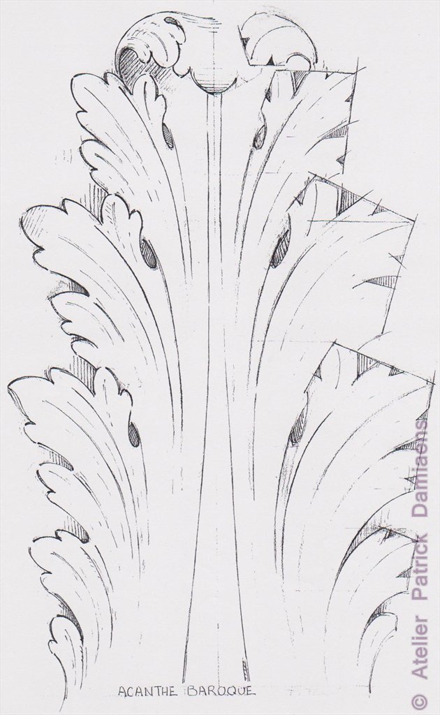 ORNAMENTAL WOODCARVER Patrick Damiaens THE ACANTHUS LEAF ACANTHUS
