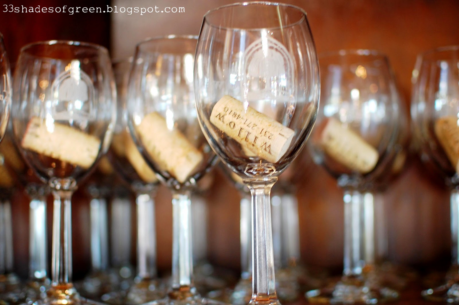 33 Shades of Green Wine Tasting Pure Michigan Style