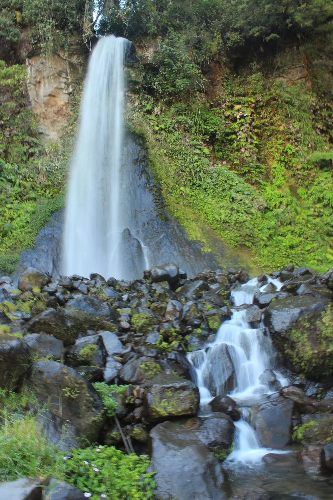 SETAPAK KECIL: Gunung Pangrango - Perjuangan Menggapai ...