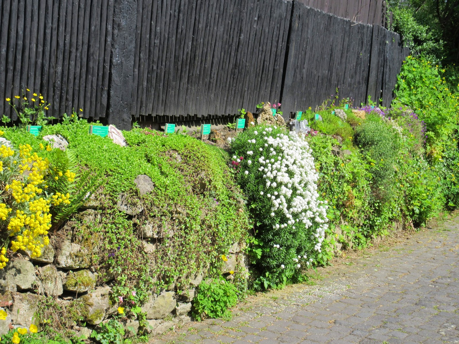 Ein Gemusebeet Anlegen Klassische Variante Steiermarkgarten