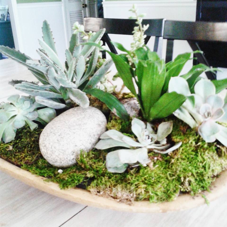 Cultivate Create DIY Dough Bowl Succulent Planter