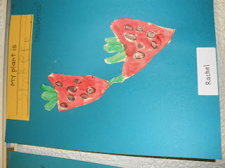 The Art of Teaching: A Kindergarten Blog: Plant Unit and Art