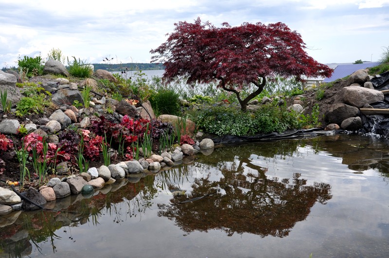 Ant 3 Stock Photos Ant 3 Stock Images Page 5 Alamy