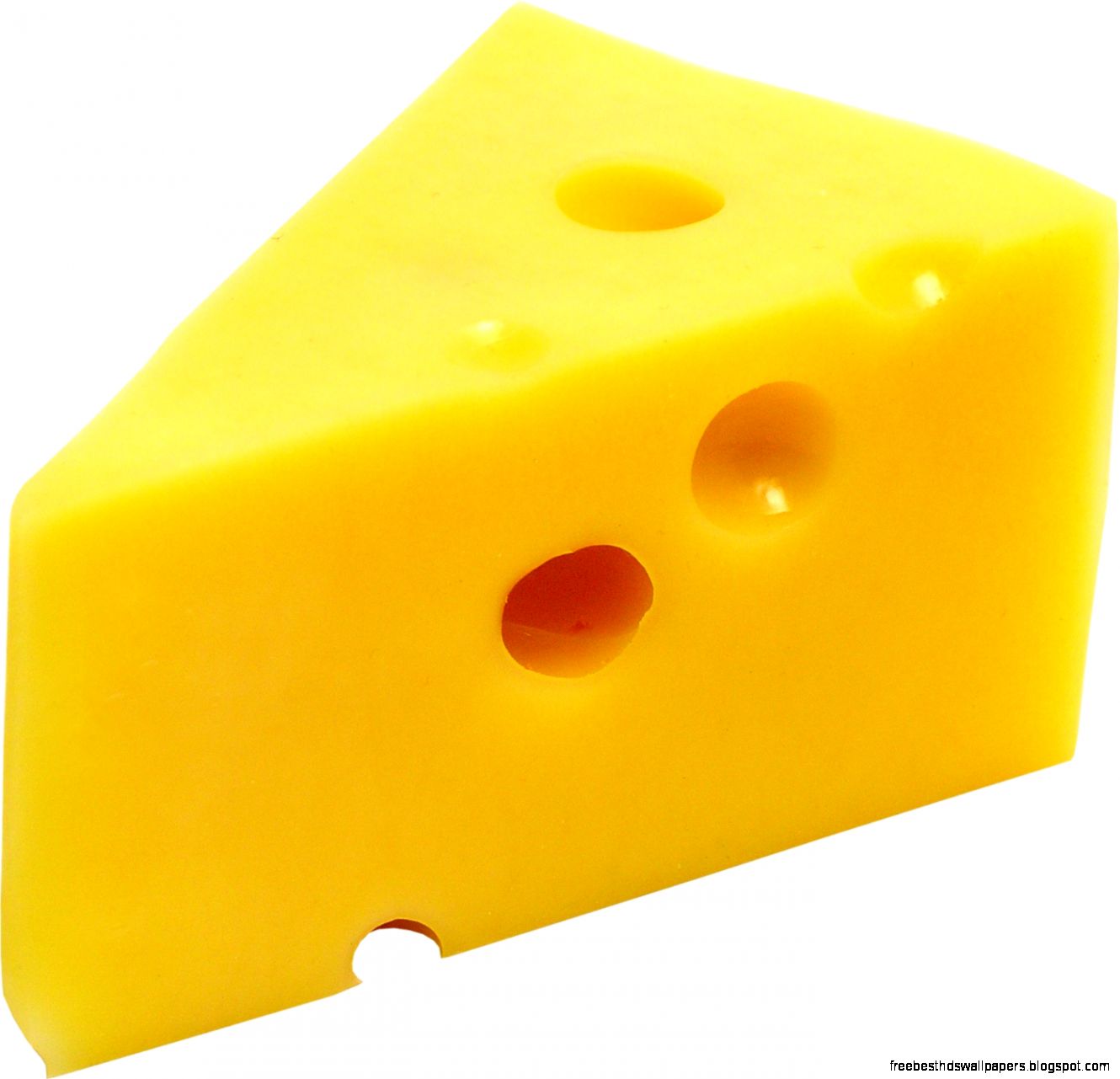 Are You Scaring Away Your Leads Cats vs Cheese Are You Scaring Away Your Leads Cats vs Cheese