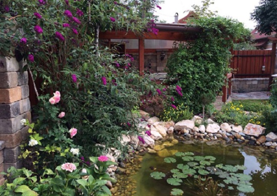 [Image: khu-vuon-nguoi-phu-nu-hue-o-hungari-7.jpg]