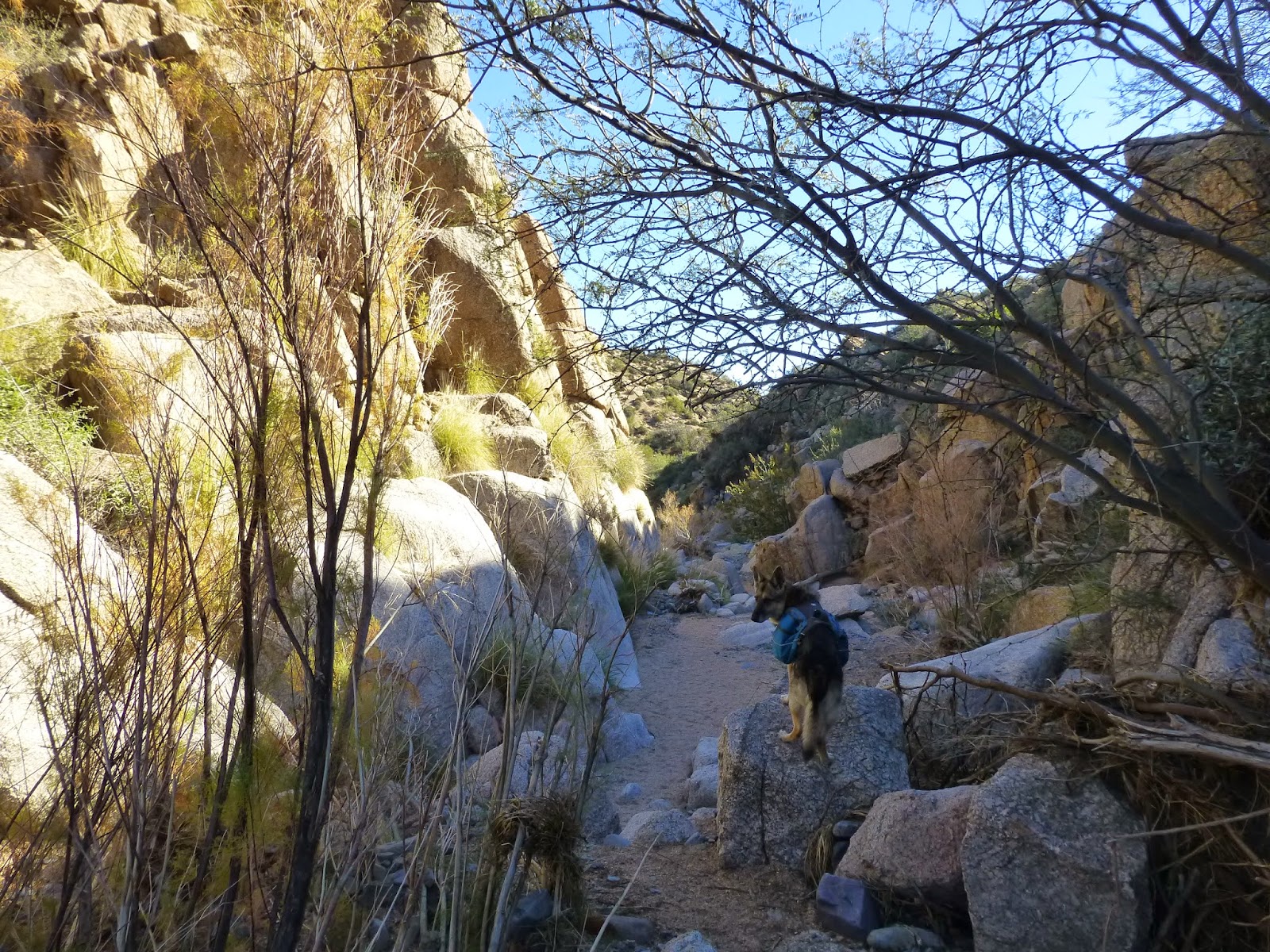 Hiking Camp Creek Falls, Tonto National Forest, Arizona