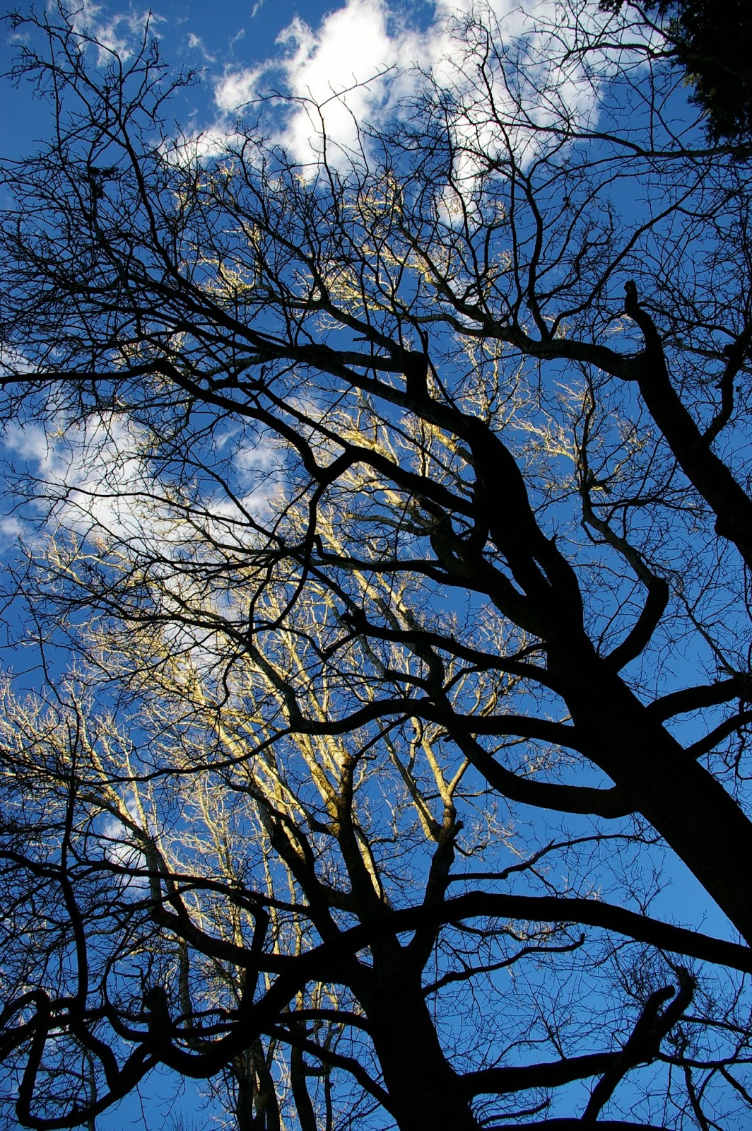 は の字日記 4月 13