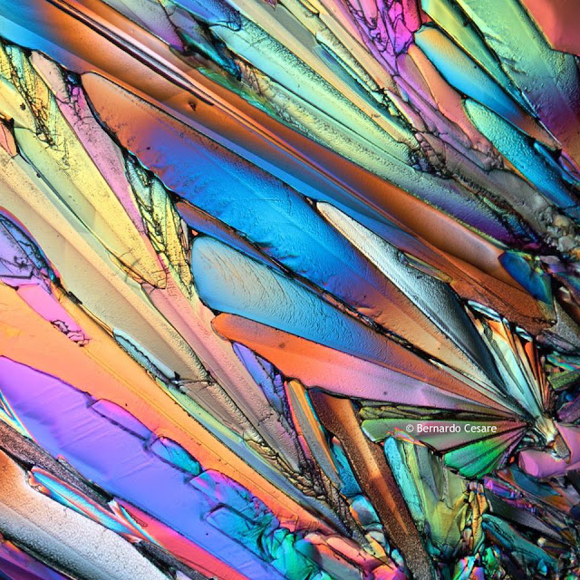 Sugar under a polarizing microscope.