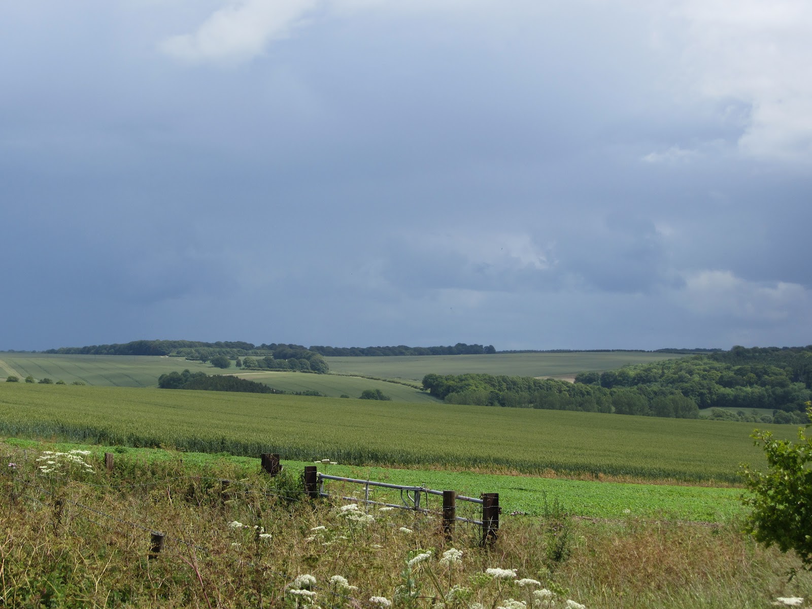 London DIaries (9) A walk through the English Countryside Nirjharini