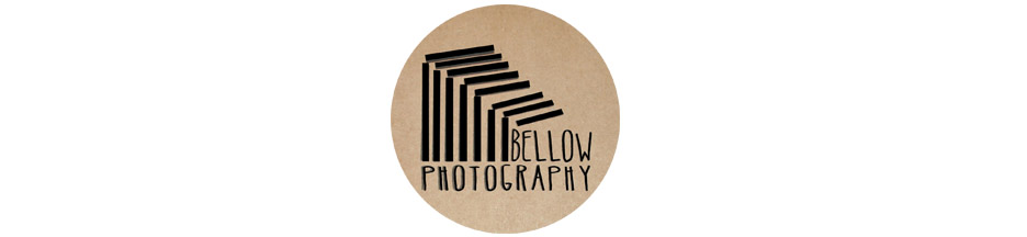 Bellow Photography
