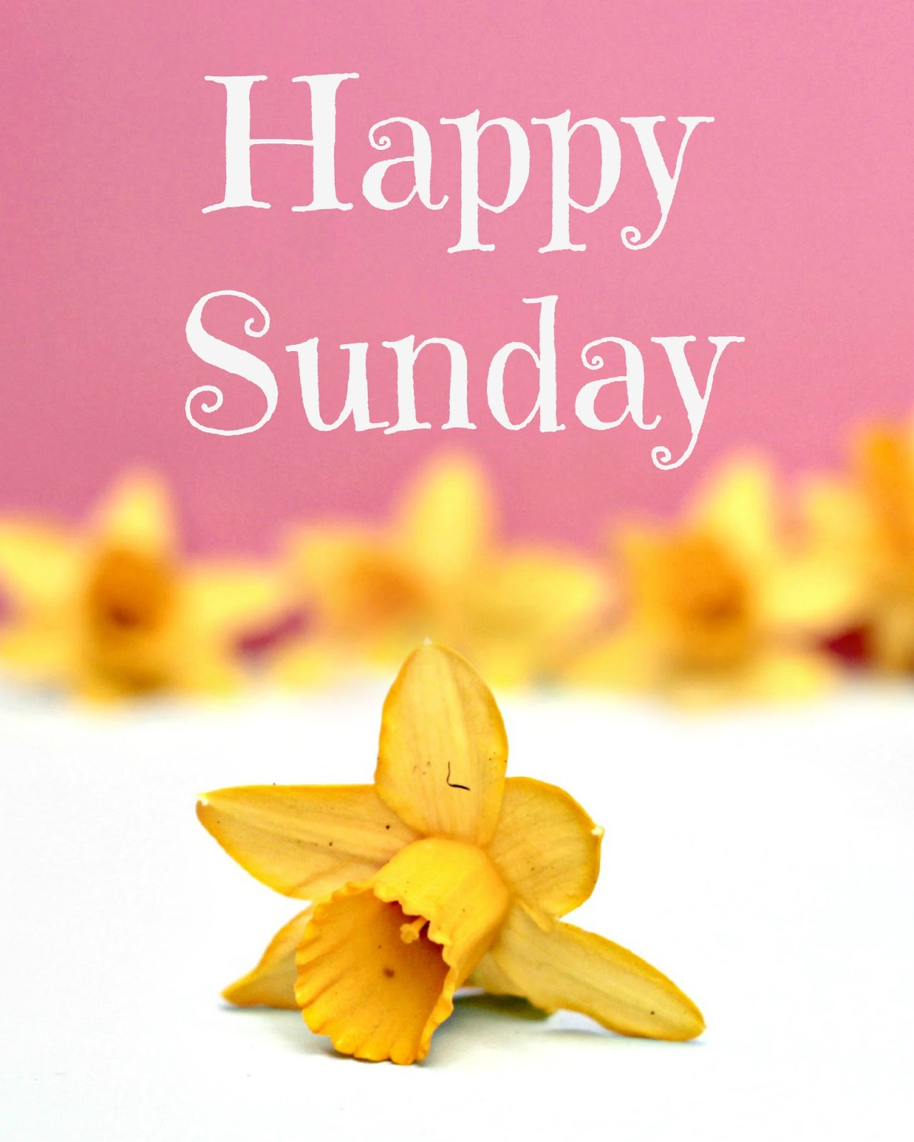 happysunday.jpg