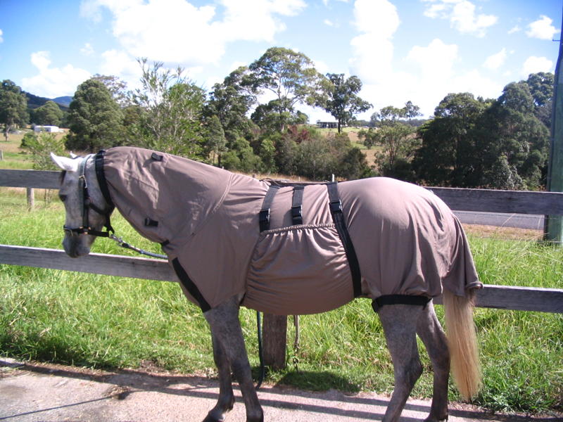 Sweet Itch In Horses DeMeulenkamp "ItchOff" rug