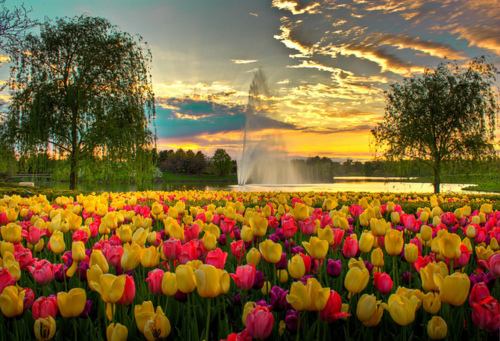 Chicago Botanical Gardens