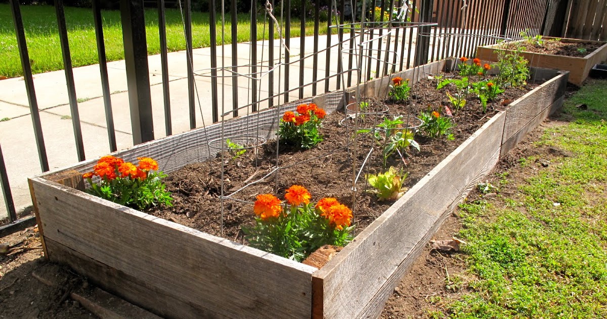 JACK at RANDOM DIY Reclaimed Wood, Raised Bed Garden