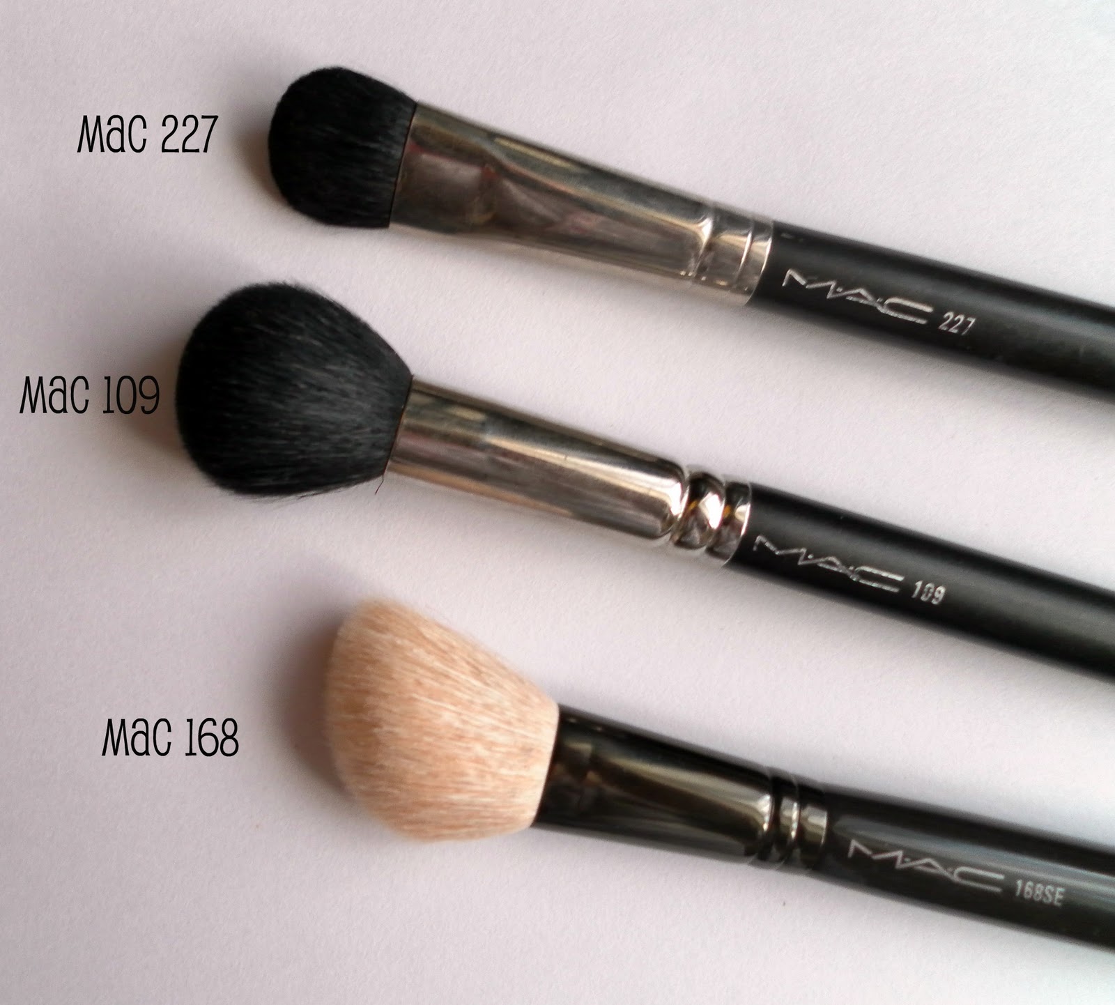 Hollie Mac Brushes 101