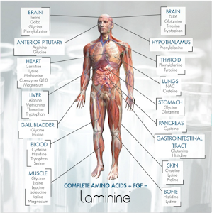 FOOD THERAPY: AGE IS JUST A NUMBER. FIT 4 LIFE HEALTHY. INTEGRATIVE MEDICINES - Healthy Lifestyle