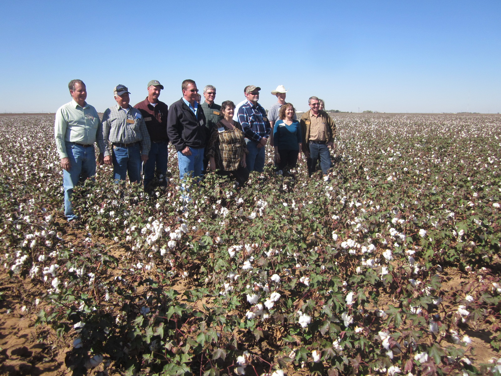 Glenda Learns About Organic Cotton Production Farm Aid