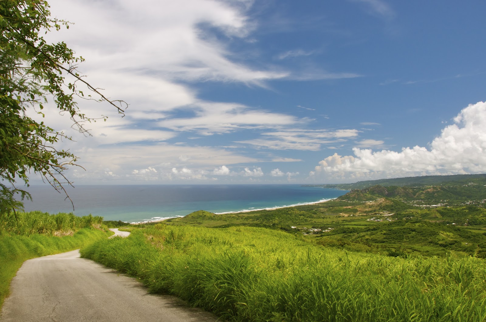 cherry tree hill loop barbados top 5 things to do in barbados if you are only here for one day cherry tree hill loop barbados top 5 things to do in barbados if you are only here for one day