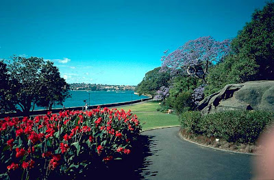 The Royal Botanical Gardens: A great, free date in Sydney